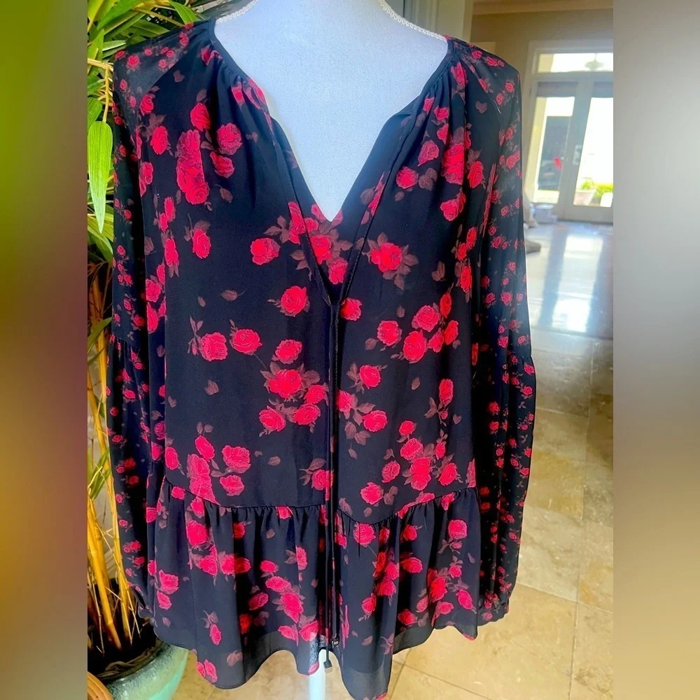 Michael Kors, ladies, long sleeve, sheer blouse, size, small excellent condition